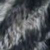Zebra Black Nappa